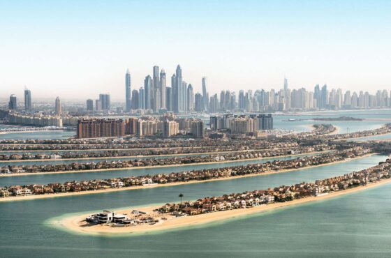 The surfing man will adventure your mind